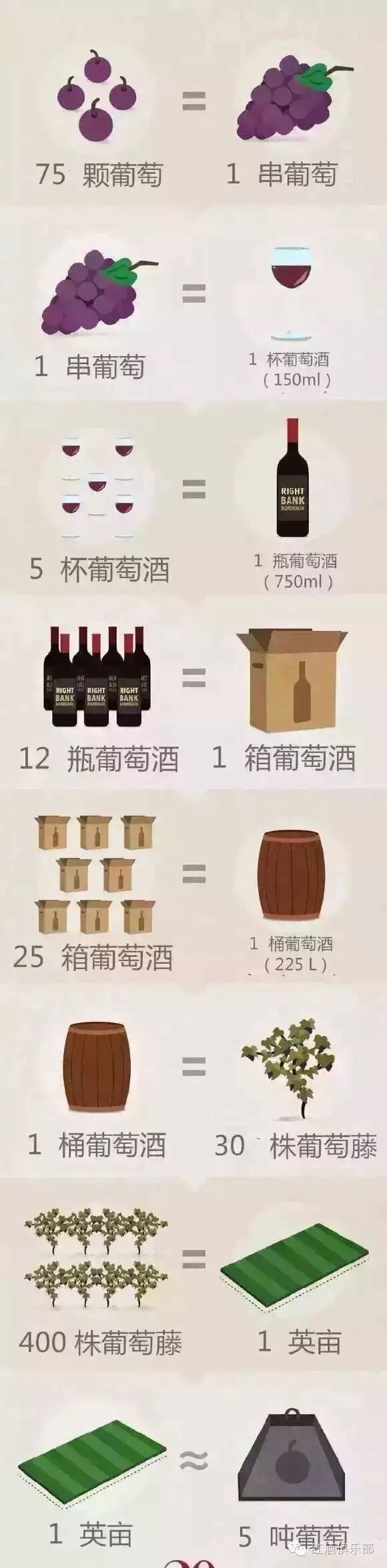 酿一瓶酒需要多少葡萄？-酒先生