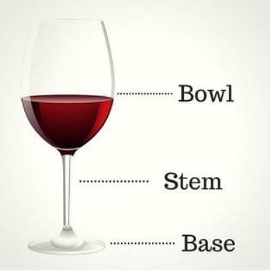 不同酒杯类型详解-初学者指南-酒先生