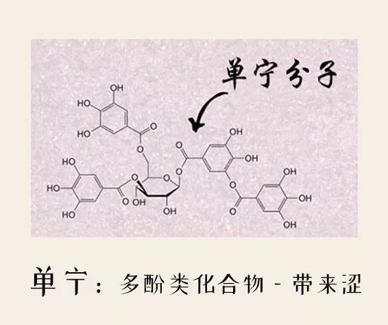 葡萄酒知识那么多，最适合入门的是哪几个？