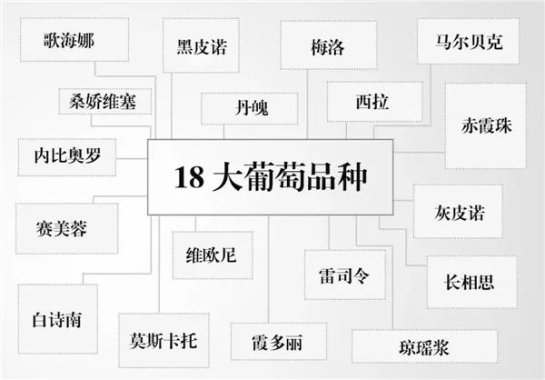 喝葡萄酒一定要知道的9件事