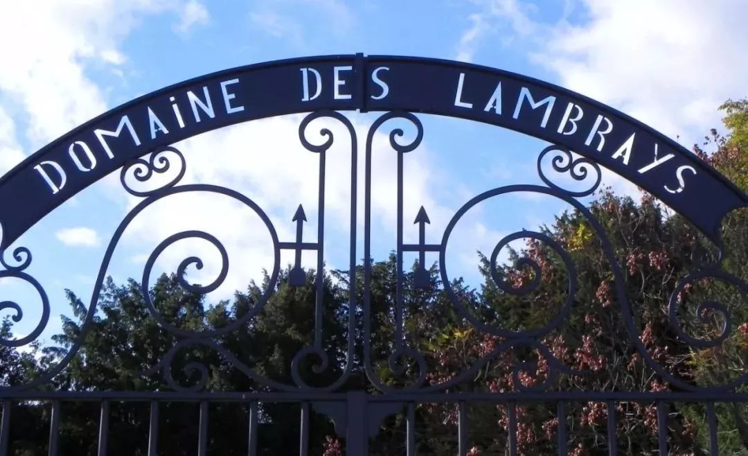 酒庄｜隆布莱酒庄Domaine des Lambrays，戴着天鹅绒手套的铁拳