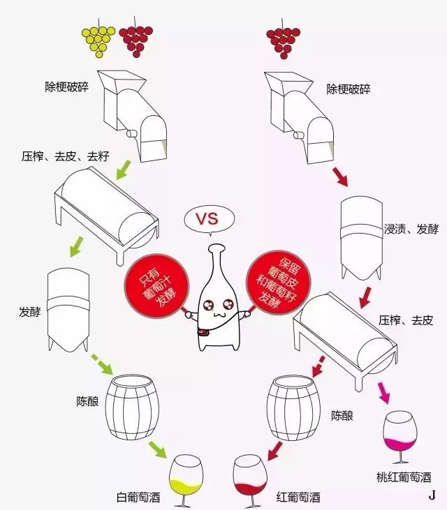 葡萄酒中的“涩”到底是什么东西？