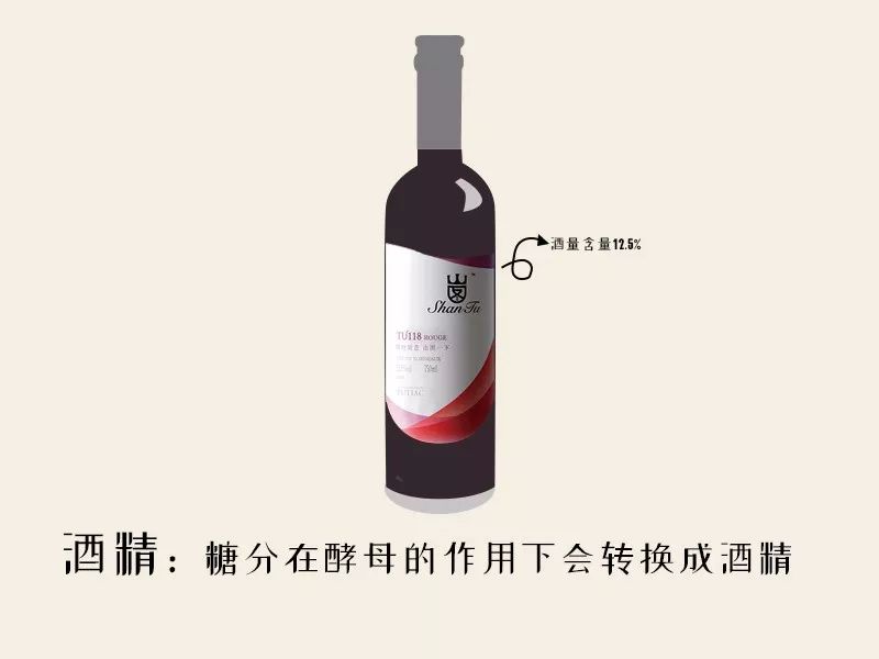 葡萄酒知识那么多，最适合入门的是哪几个？