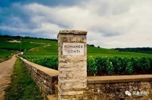 为什么波尔多酒庄以“城堡(Château)”命名?Château和Domaine的区别-酒先生