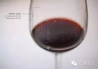【红酒知识】葡萄酒的六个美丽的必看误会